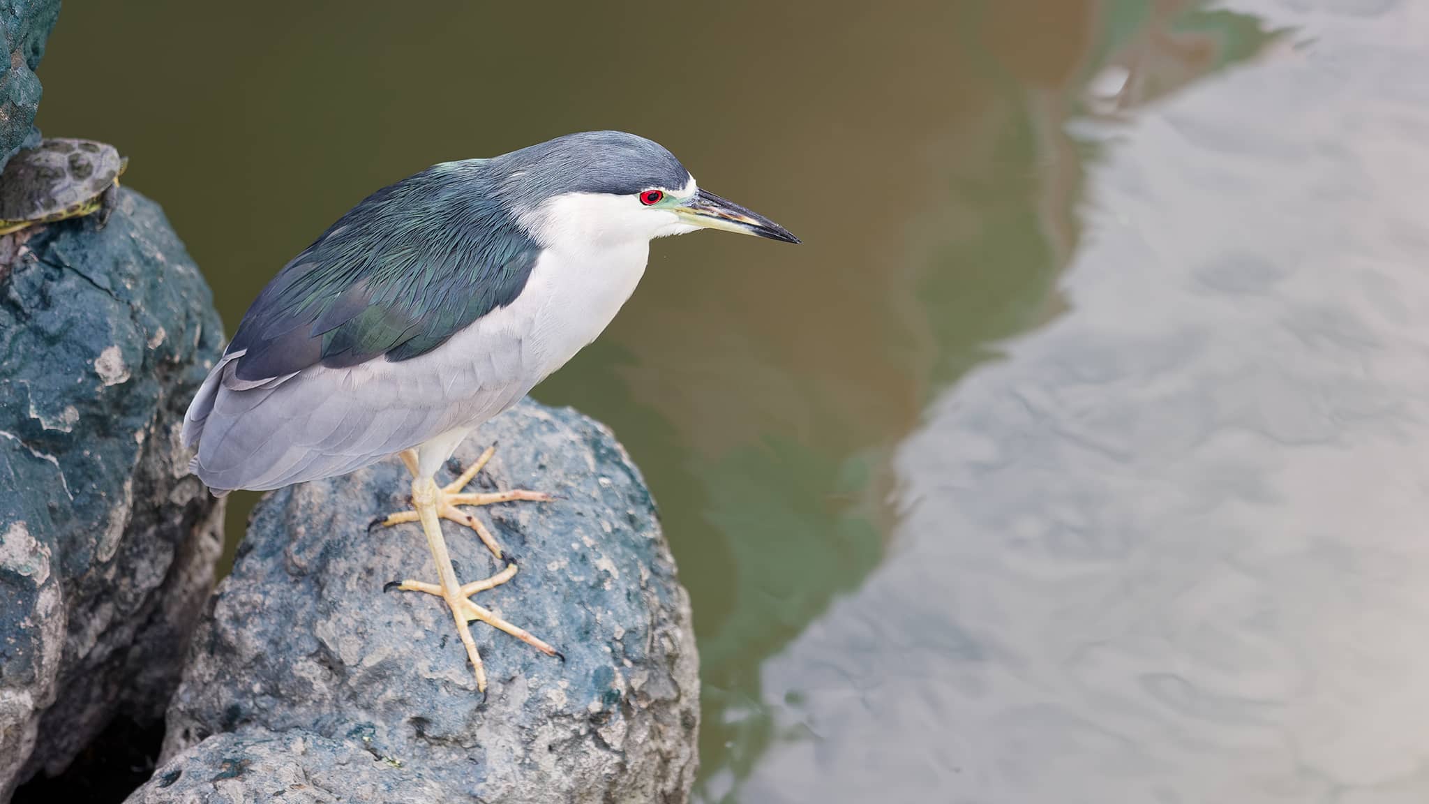 06 - Kaohsiung (33).jpg